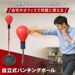 ボクシング 練習 パンチング ボール 器具 パ...の詳細画像1