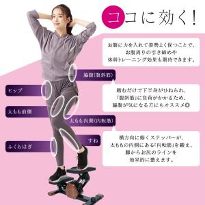ステッパー ダイエット器具 ツイストステッパー...の詳細画像5
