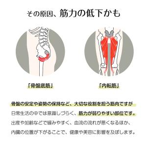 筋トレ 自宅 ダイエット器具 内転筋シェイパー...の詳細画像2
