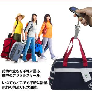 スケール デジタル 携帯 電子秤 はかり 最大...の詳細画像1
