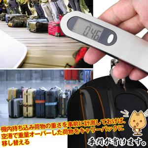 スケール デジタル 携帯 電子秤 はかり 最大...の詳細画像3