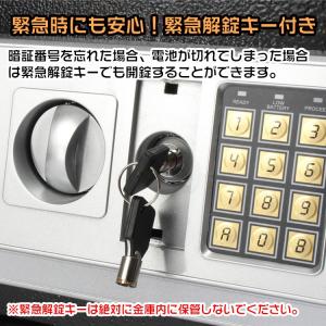 金庫 家庭用 小型 ミニ 隠し金庫 おしゃれ ...の詳細画像5