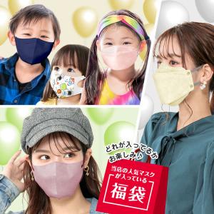 マスク 福袋 2025 不織布 立体 不織布マ...の詳細画像4