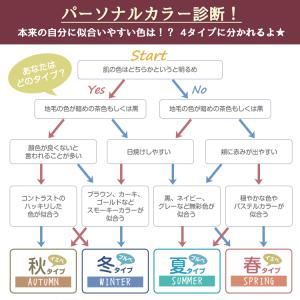 マスク 50枚 20枚 使い捨て 不織布 血色...の詳細画像2