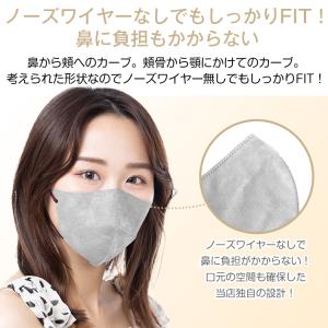 マスク 不織布 3D 立体 不織布マスク 50...の詳細画像2
