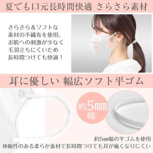 マスク 不織布 3D 立体 不織布マスク 50...の詳細画像4