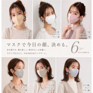 マスク 不織布 50枚 3D立体 バイカラー ...の詳細画像1