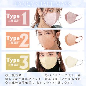 マスク 不織布 立体 おしゃれ 50枚 3D ...の詳細画像2