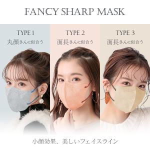 マスク 不織布 3D 立体 不織布マスク バイ...の詳細画像1