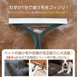 ペットブラシ 2本セット 抜け毛 ペット 毛取...の詳細画像1