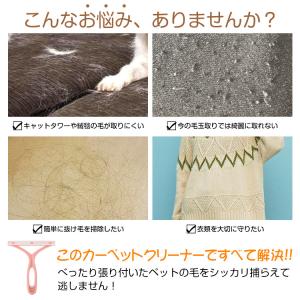 ペットブラシ 2本セット 抜け毛 ペット 毛取...の詳細画像2