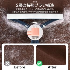 ペットブラシ 2本セット 抜け毛 ペット 毛取...の詳細画像4