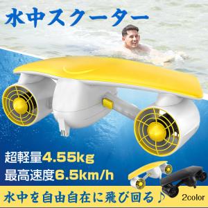 スクーター 水中 電動 小型 海 沖縄 防水 スキューバ