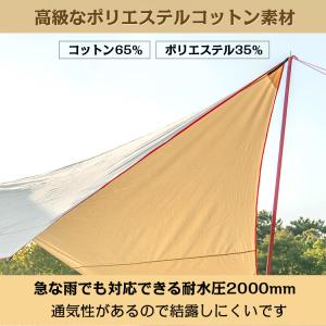 タープ カーサイドタープ タープテント ヘキサ...の詳細画像1