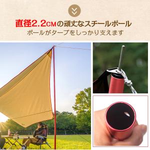 タープ カーサイドタープ タープテント ヘキサ...の詳細画像5
