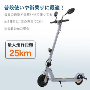 キックボード 電動キックボード 一般原動機付自...の詳細画像3
