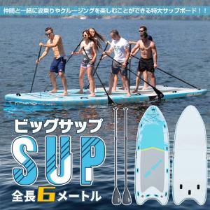 サップボード ポンプ 空気入れ 手動ポンプ RED PADDLE TITAN SUP