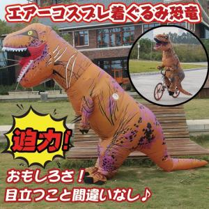 コスプレ 衣装 ハロウィン クリスマス エアー エアコス