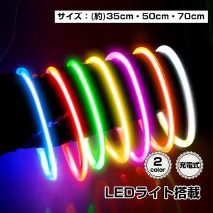 首輪 犬用 光る LEDライト 夜 散歩 長さ調整可 常時点灯 点滅 USB充電 ペット 35cm 50cm 70cm 小型犬 中型犬 大型犬 安全 pt032