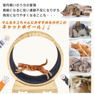 猫 おもちゃ 猫おもちゃ 猫のおもちゃ キャッ...の詳細画像1