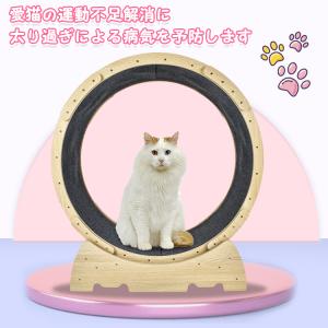 猫 おもちゃ 猫おもちゃ 猫のおもちゃ キャッ...の詳細画像5