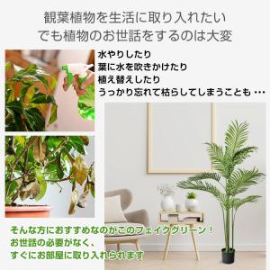観葉植物 フェイクグリーン 大型 リアル 高さ...の詳細画像1
