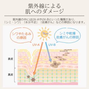 軽量日傘 折りたたみ傘 傘 レディース 日傘 ...の詳細画像2