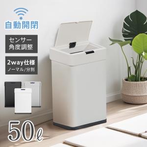 Hailo ハイロ ニュービッグボックス（ダストボックス）40L ステンレス