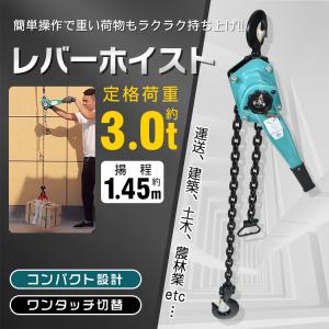 レバーホイスト レバー式ブロック 3t 3000kg 手動ホイスト 3ton レバーホイスト レバー式ブロック 3t 3000kg 手動ホイスト 3ton