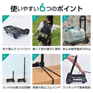 キャリーカート ショッピングカート 買い物カー...の詳細画像3