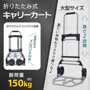 キャリーカート ショッピングカート 買い物カート カート 台車 折りたたみ 軽量 おしゃれ 買い物用キャリーカート コンパクト キャリー ショッピングキャリー｜Fkstyle