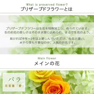 プリザーブドフラワー 壁掛け 結婚祝い 新築祝...の詳細画像4
