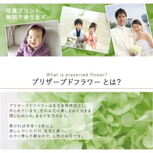 プリザーブドフラワー 写真立て おしゃれ フォ...の詳細画像1
