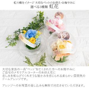 ペットのお供え花 虹花(にじか) プリザーブド...の詳細画像1