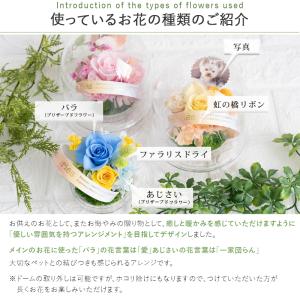 ペットのお供え花 虹花(にじか) プリザーブド...の詳細画像5