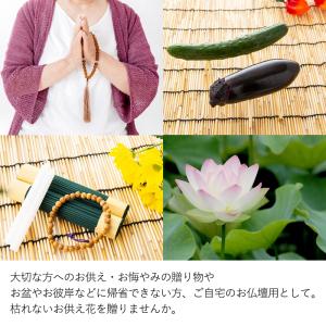 お供え 仏花 プリザーブドフラワー 仏壇用 風...の詳細画像2