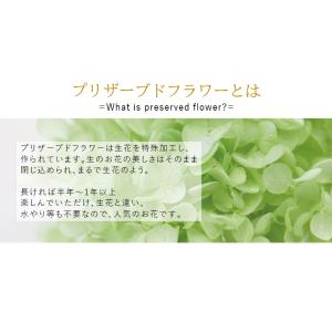 お供え 仏花 プリザーブドフラワー 仏壇用 風...の詳細画像3