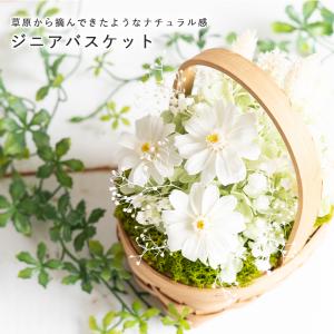 プリザーブドフラワー 花 誕生日 プレゼント ...の詳細画像1