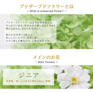 プリザーブドフラワー 花 誕生日 プレゼント ...の詳細画像3