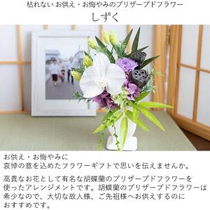 お供え プリザーブドフラワー 仏花 胡蝶蘭 し...の詳細画像1