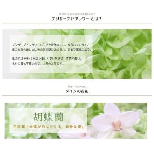 お供え プリザーブドフラワー 仏花 胡蝶蘭 し...の詳細画像2