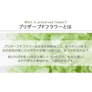 プリザーブドフラワー ボックスフラワー 誕生日...の詳細画像4