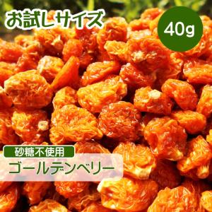 食用ほおずき 種の商品一覧 通販 Yahoo ショッピング