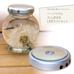 ハーバリウム タンポポの商品一覧 通販 Yahoo ショッピング