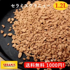 送料無料 ぽっきり 1000円 セラミス グラニュー 1 2l 小鉢5 6鉢分 室内 観葉植物 植替え 培養土 インテリア グリーン 土 ポット Seramis10 エアプランツ観葉植物ふらここ 通販 Yahoo ショッピング