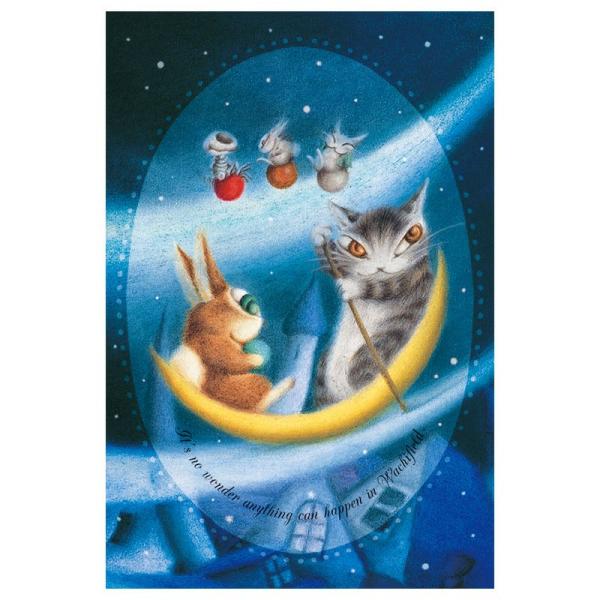 猫のダヤン ポストカード~トリポカの月~