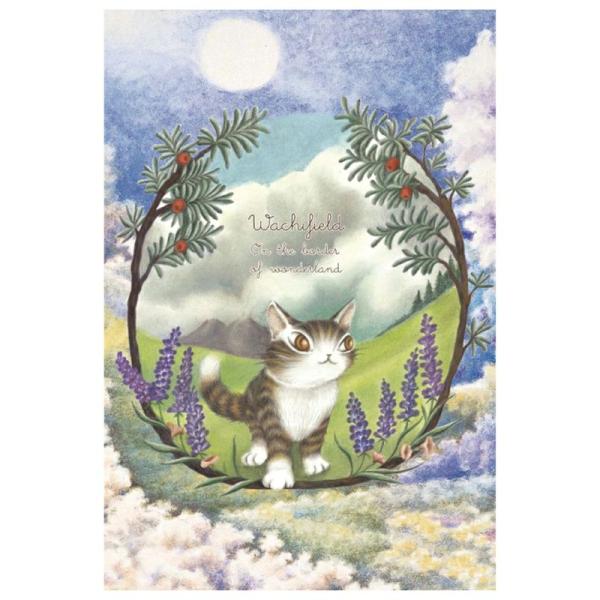 猫のダヤン ポストカード~不思議な国の境目~