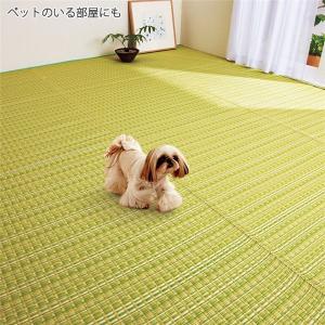 い草風 ラグマット/絨毯 〔江戸間6畳 約261×352cm 長方形 グリーン〕 洗える 日本製 折りたたみ収納可 〔リビング〕