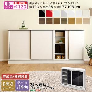 引戸シリーズ セミオーダーカウンター下収納ぴったりくん キャビネット ポリカタイプ グレイ 幅120cm×奥行25cm｜flady