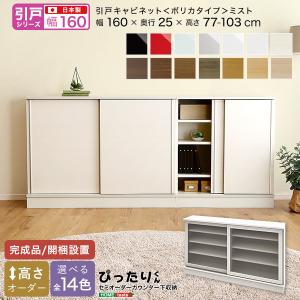 引戸シリーズ セミオーダーカウンター下収納ぴったりくん キャビネット ポリカタイプ ミスト 幅160cm×奥行25cm｜flady